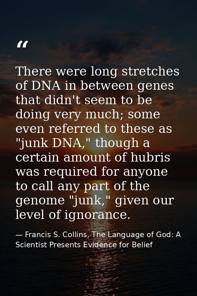 There were long stretches of DNA in between genes that didn't seem to be doing very much; some even referred to these as — Francis S. Collins, The Language of God: A Scientist Presents Evidence for Belief