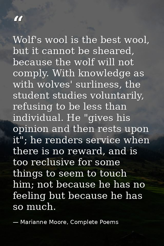 Wolf's wool is the best wool, but it cannot be sheared, because the wolf will not comply. With knowledge as with wolves' — Marianne Moore, Complete Poems