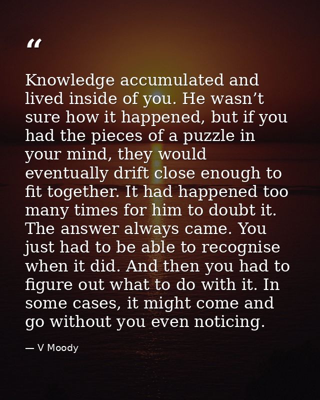 Knowledge accumulated and lived inside of you. He wasn’t sure how it happened, but if you had the pieces of a puzzle in  — V Moody