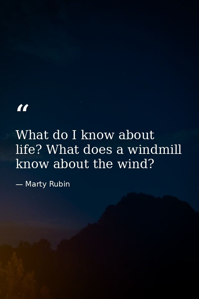 What do I know about life? What does a windmill know about the wind? — Marty Rubin