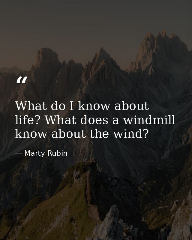 What do I know about life? What does a windmill know about the wind? — Marty Rubin