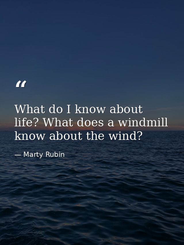What do I know about life? What does a windmill know about the wind? — Marty Rubin