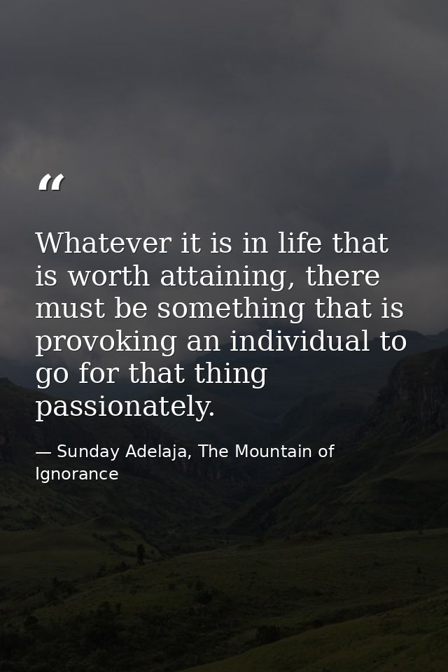 Whatever it is in life that is worth attaining, there must be something that is provoking an individual to go for that t — Sunday Adelaja, The Mountain of Ignorance