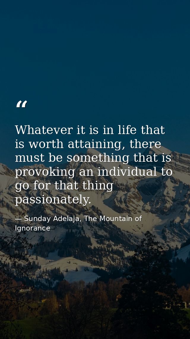 Whatever it is in life that is worth attaining, there must be something that is provoking an individual to go for that t — Sunday Adelaja, The Mountain of Ignorance