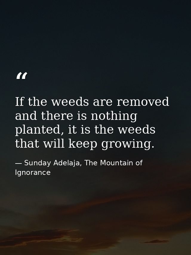 If the weeds are removed and there is nothing planted, it is the weeds that will keep growing. — Sunday Adelaja, The Mountain of Ignorance