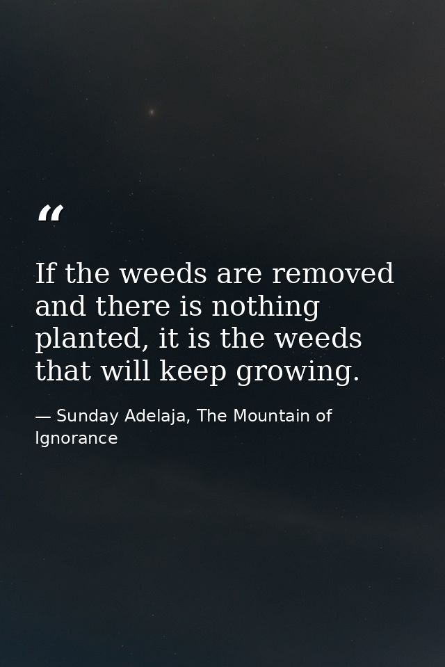 If the weeds are removed and there is nothing planted, it is the weeds that will keep growing. — Sunday Adelaja, The Mountain of Ignorance