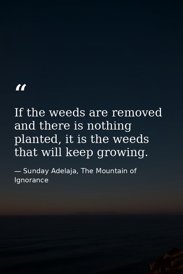 If the weeds are removed and there is nothing planted, it is the weeds that will keep growing. — Sunday Adelaja, The Mountain of Ignorance
