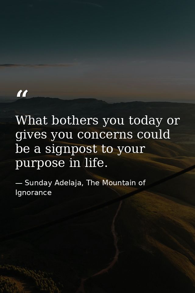 What bothers you today or gives you concerns could be a signpost to your purpose in life. — Sunday Adelaja, The Mountain of Ignorance