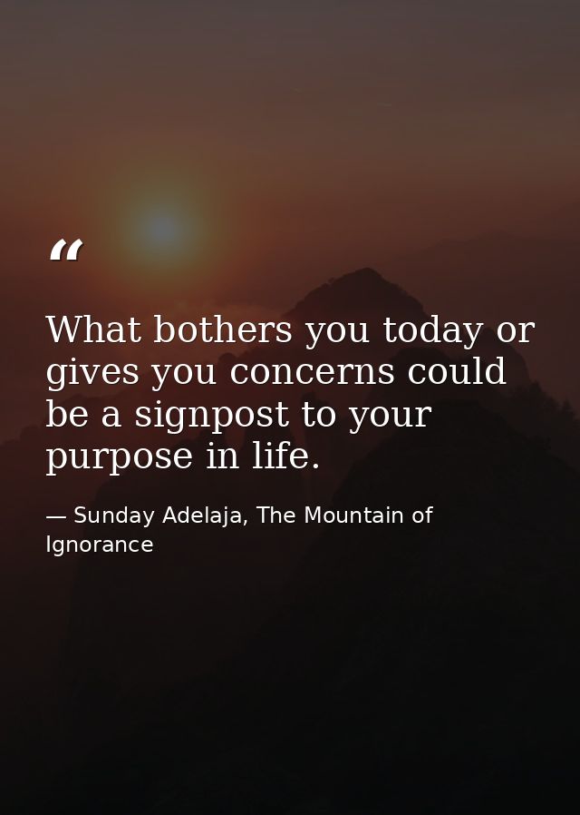 What bothers you today or gives you concerns could be a signpost to your purpose in life. — Sunday Adelaja, The Mountain of Ignorance