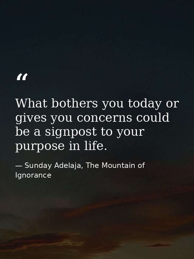What bothers you today or gives you concerns could be a signpost to your purpose in life. — Sunday Adelaja, The Mountain of Ignorance