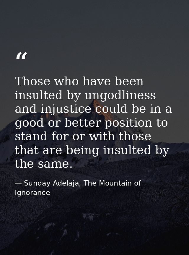 Those who have been insulted by ungodliness and injustice could be in a good or better position to stand for or with tho — Sunday Adelaja, The Mountain of Ignorance
