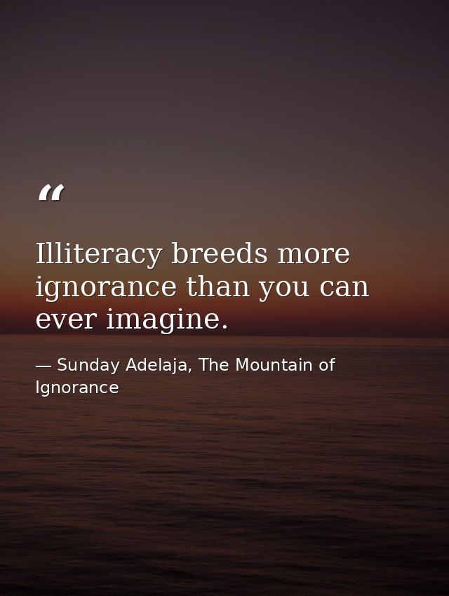Illiteracy breeds more ignorance than you can ever imagine. — Sunday Adelaja, The Mountain of Ignorance