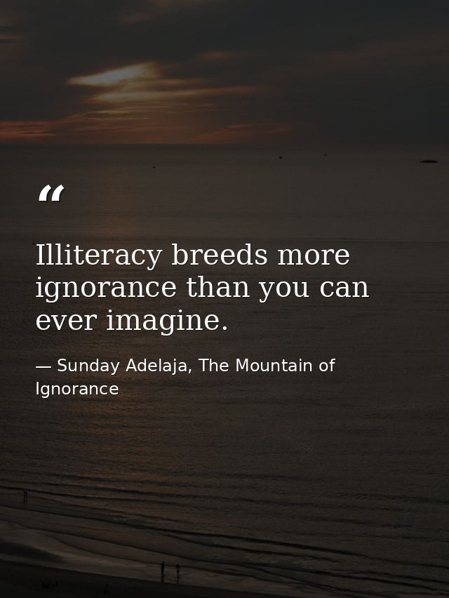Illiteracy breeds more ignorance than you can ever imagine. — Sunday Adelaja, The Mountain of Ignorance