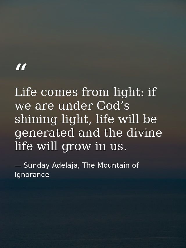 Life comes from light: if we are under God’s shining light, life will be generated and the divine life will grow in us. — Sunday Adelaja, The Mountain of Ignorance