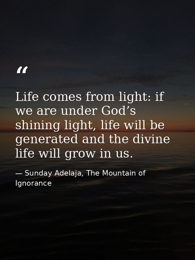 Life comes from light: if we are under God’s shining light, life will be generated and the divine life will grow in us. — Sunday Adelaja, The Mountain of Ignorance