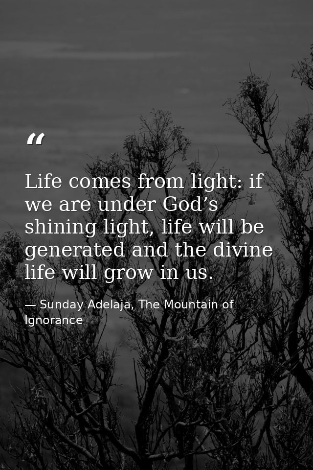 Life comes from light: if we are under God’s shining light, life will be generated and the divine life will grow in us. — Sunday Adelaja, The Mountain of Ignorance