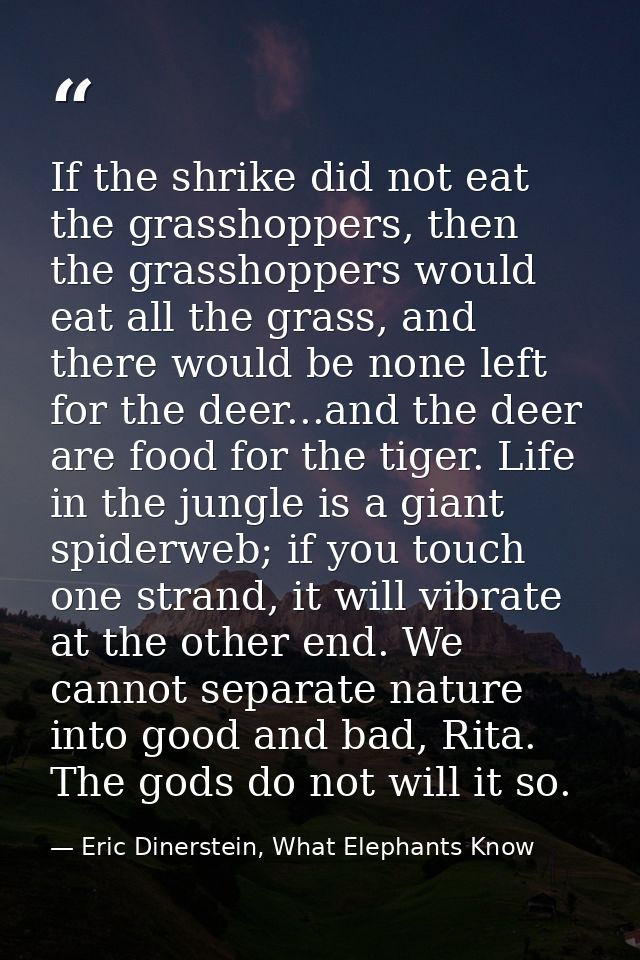If the shrike did not eat the grasshoppers, then the grasshoppers would eat all the grass, and there would be none left  — Eric Dinerstein, What Elephants Know