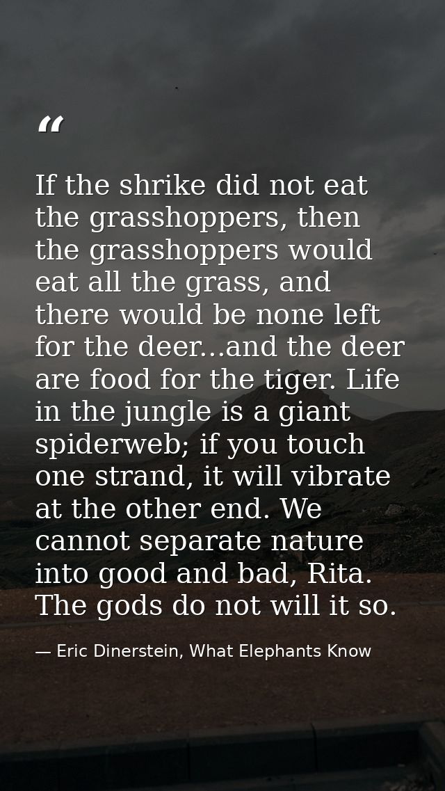 If the shrike did not eat the grasshoppers, then the grasshoppers would eat all the grass, and there would be none left  — Eric Dinerstein, What Elephants Know