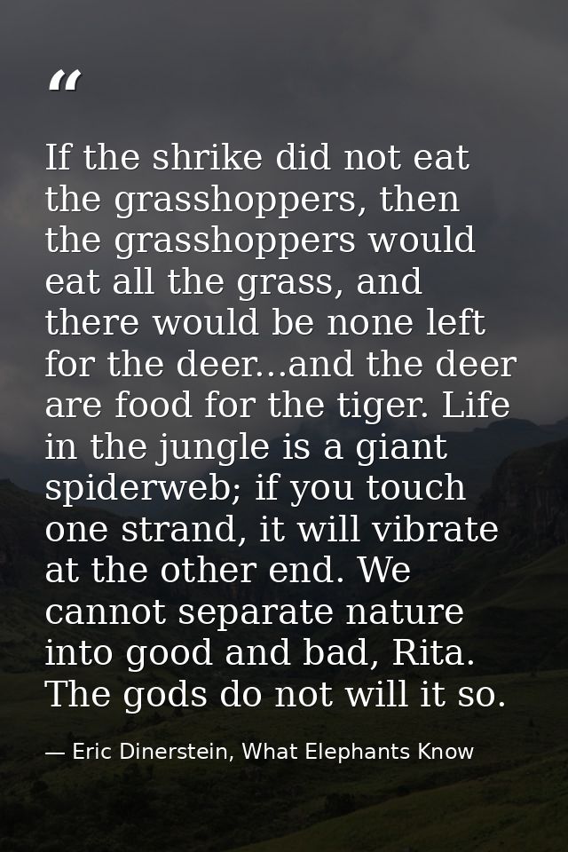 If the shrike did not eat the grasshoppers, then the grasshoppers would eat all the grass, and there would be none left  — Eric Dinerstein, What Elephants Know