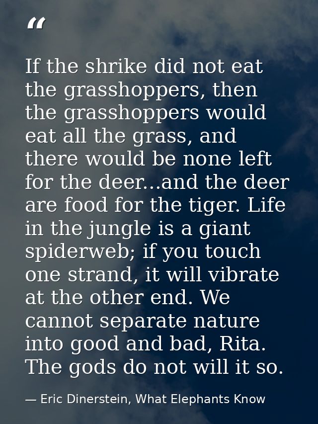 If the shrike did not eat the grasshoppers, then the grasshoppers would eat all the grass, and there would be none left  — Eric Dinerstein, What Elephants Know