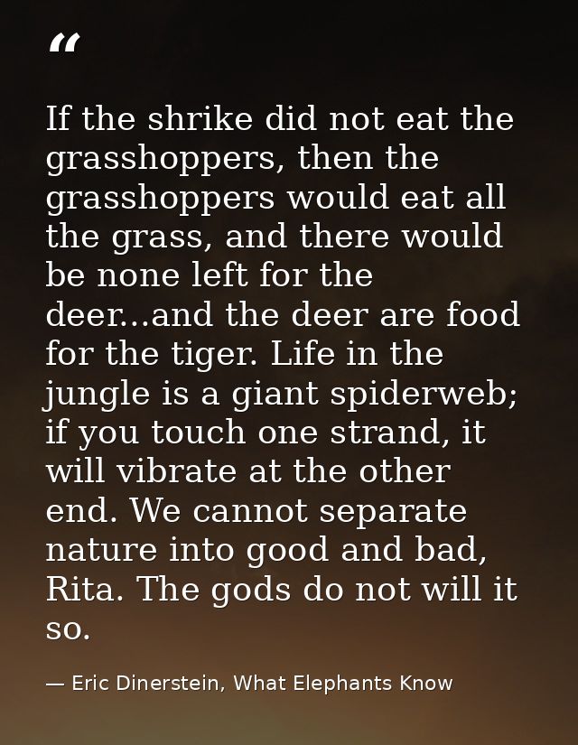 If the shrike did not eat the grasshoppers, then the grasshoppers would eat all the grass, and there would be none left  — Eric Dinerstein, What Elephants Know