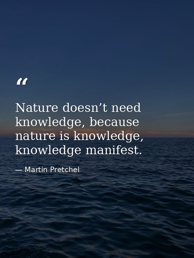 Nature doesn’t need knowledge, because nature is knowledge, knowledge manifest. — Martin Pretchel