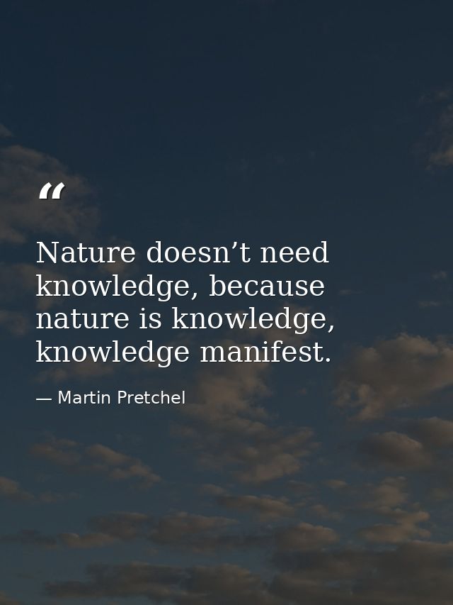 Nature doesn’t need knowledge, because nature is knowledge, knowledge manifest. — Martin Pretchel