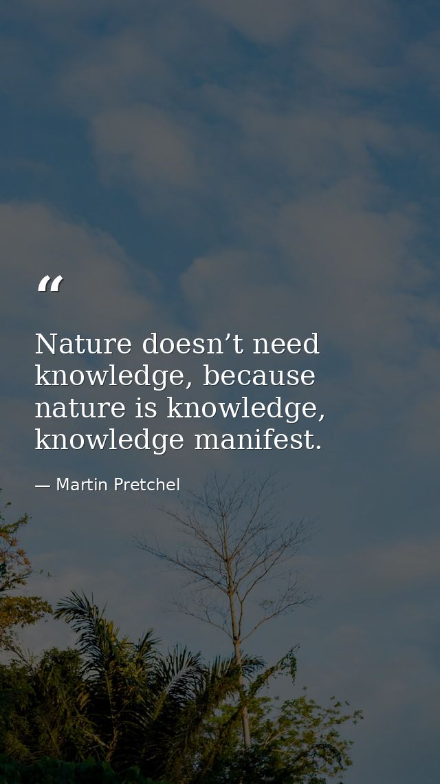Nature doesn’t need knowledge, because nature is knowledge, knowledge manifest. — Martin Pretchel