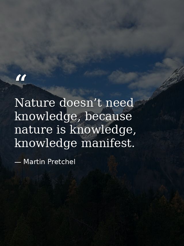 Nature doesn’t need knowledge, because nature is knowledge, knowledge manifest. — Martin Pretchel
