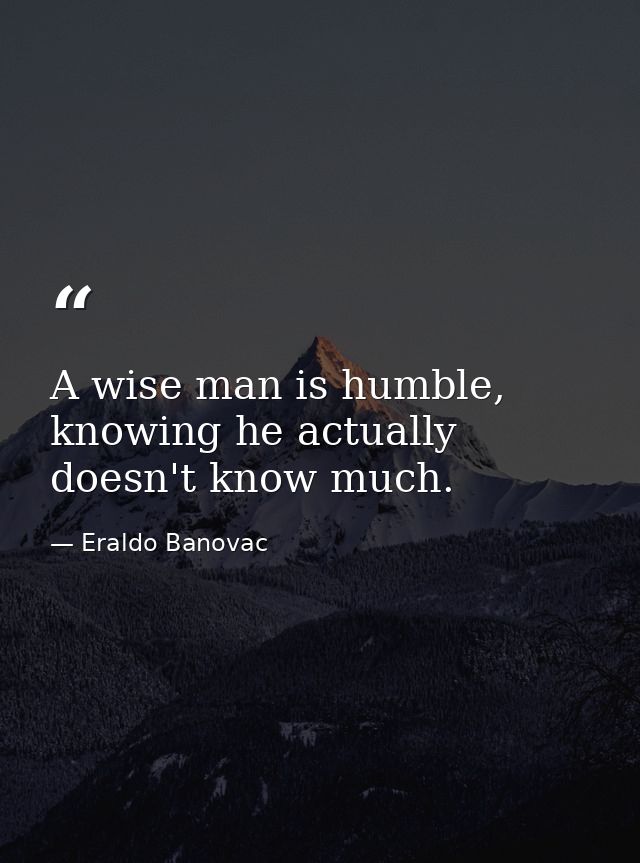 A wise man is humble, knowing he actually doesn't know much. — Eraldo Banovac