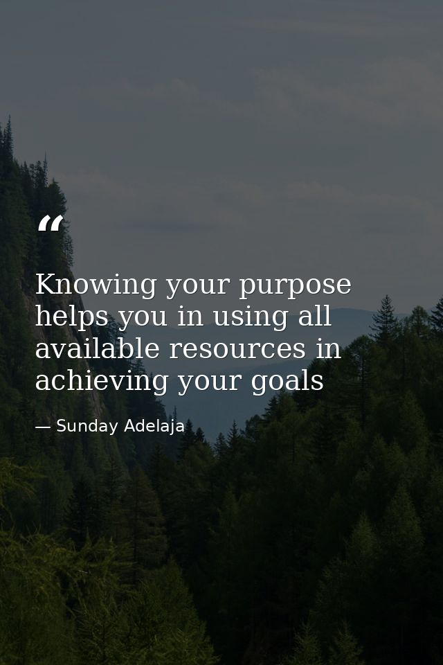 Knowing your purpose helps you in using all available resources in achieving your goals — Sunday Adelaja