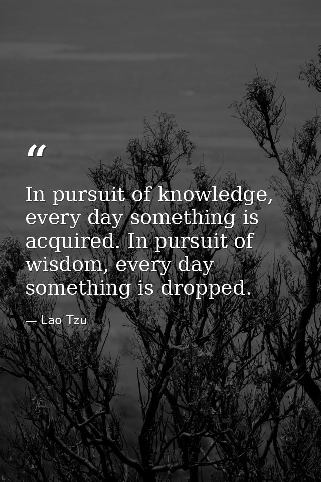 In pursuit of knowledge, every day something is acquired. In pursuit of wisdom, every day something is dropped. — Lao Tzu