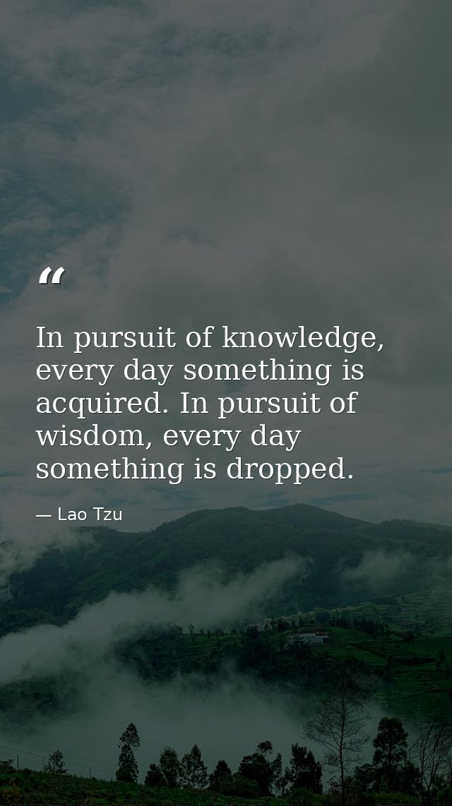 In pursuit of knowledge, every day something is acquired. In pursuit of wisdom, every day something is dropped. — Lao Tzu