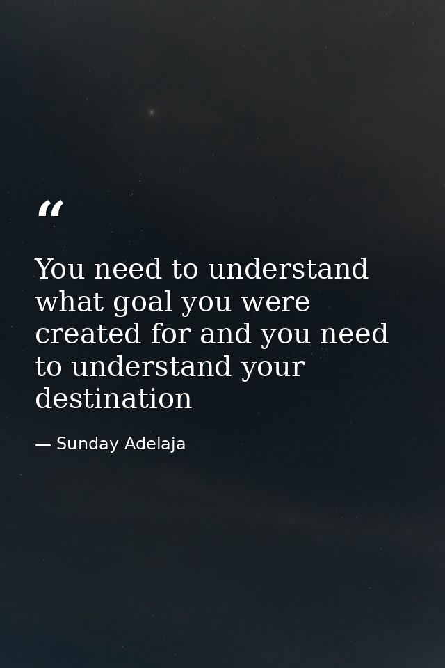 You need to understand what goal you were created for and you need to understand your destination — Sunday Adelaja