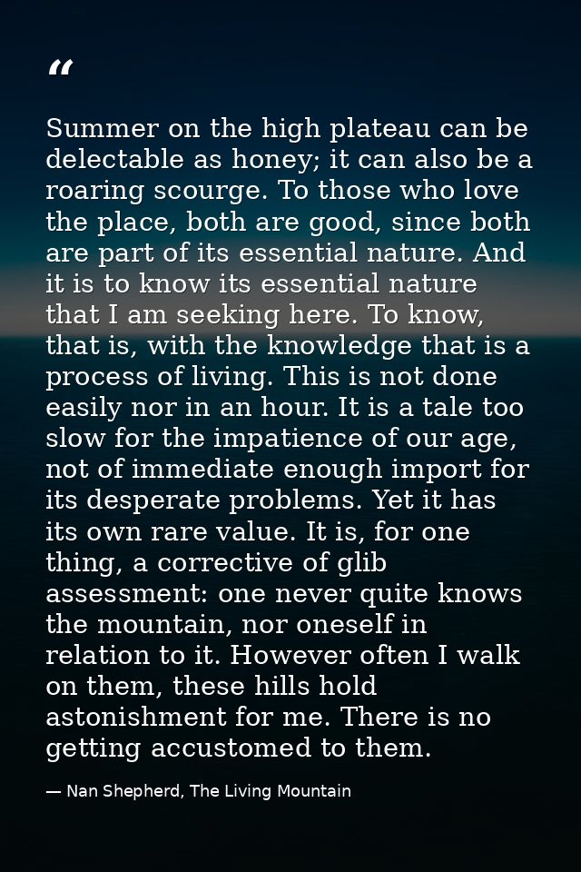 Summer on the high plateau can be delectable as honey; it can also be a roaring scourge. To those who love the place, bo — Nan Shepherd, The Living Mountain