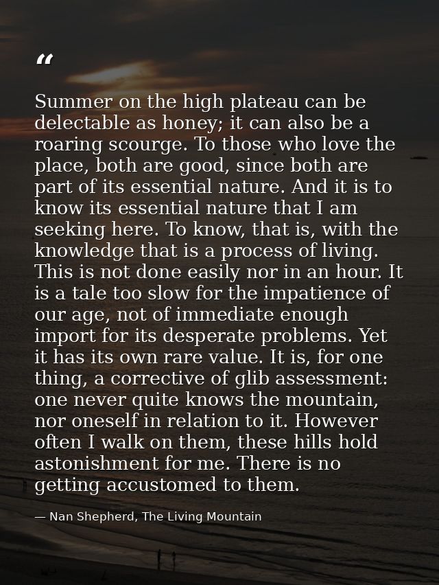 Summer on the high plateau can be delectable as honey; it can also be a roaring scourge. To those who love the place, bo — Nan Shepherd, The Living Mountain