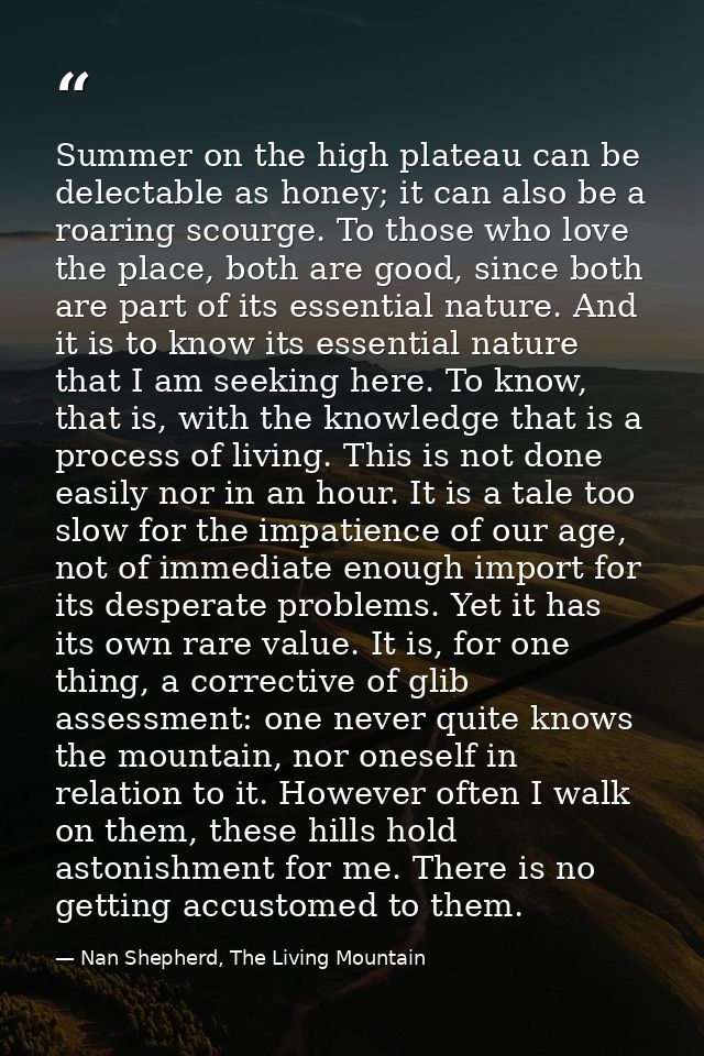 Summer on the high plateau can be delectable as honey; it can also be a roaring scourge. To those who love the place, bo — Nan Shepherd, The Living Mountain