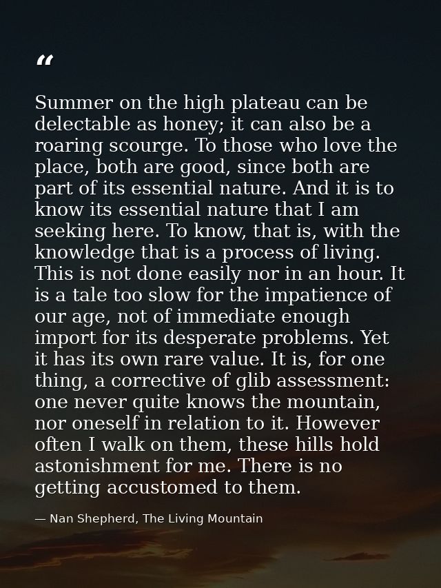 Summer on the high plateau can be delectable as honey; it can also be a roaring scourge. To those who love the place, bo — Nan Shepherd, The Living Mountain