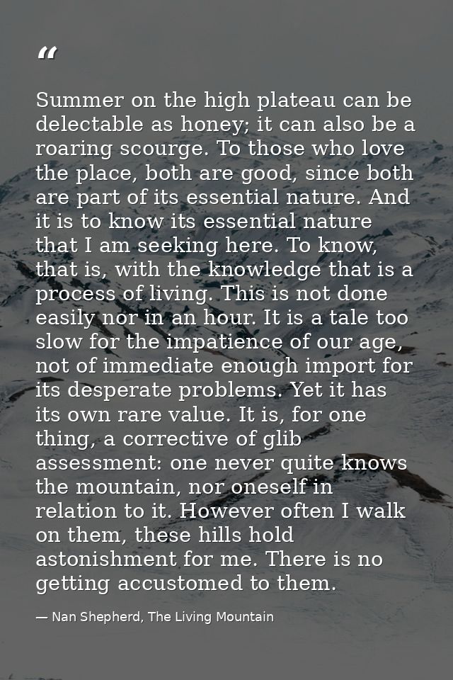 Summer on the high plateau can be delectable as honey; it can also be a roaring scourge. To those who love the place, bo — Nan Shepherd, The Living Mountain