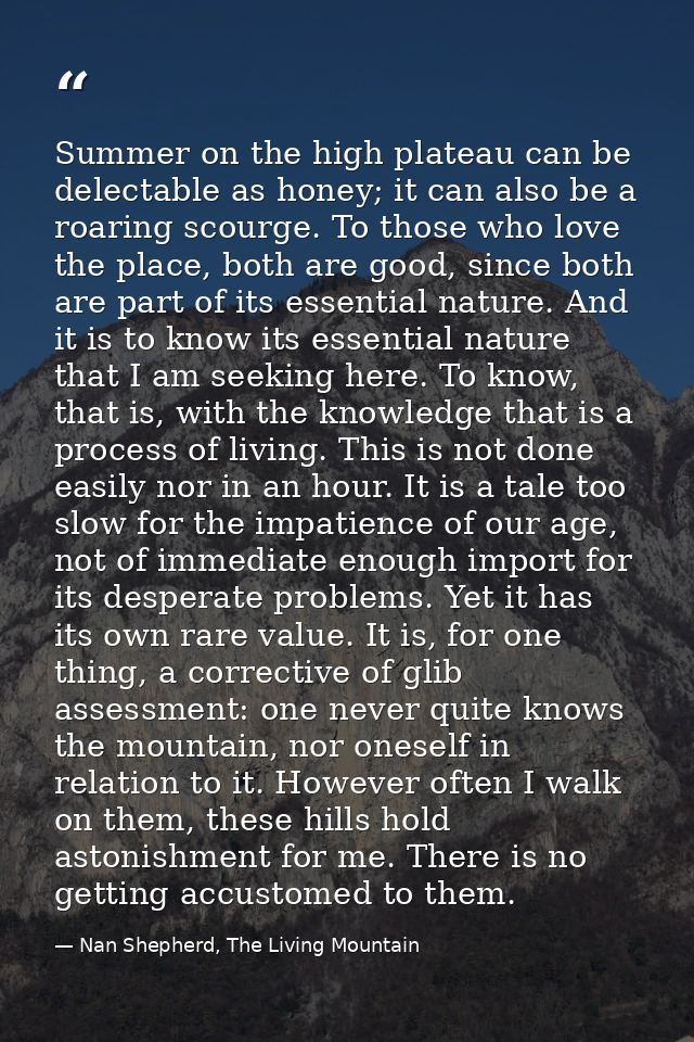 Summer on the high plateau can be delectable as honey; it can also be a roaring scourge. To those who love the place, bo — Nan Shepherd, The Living Mountain