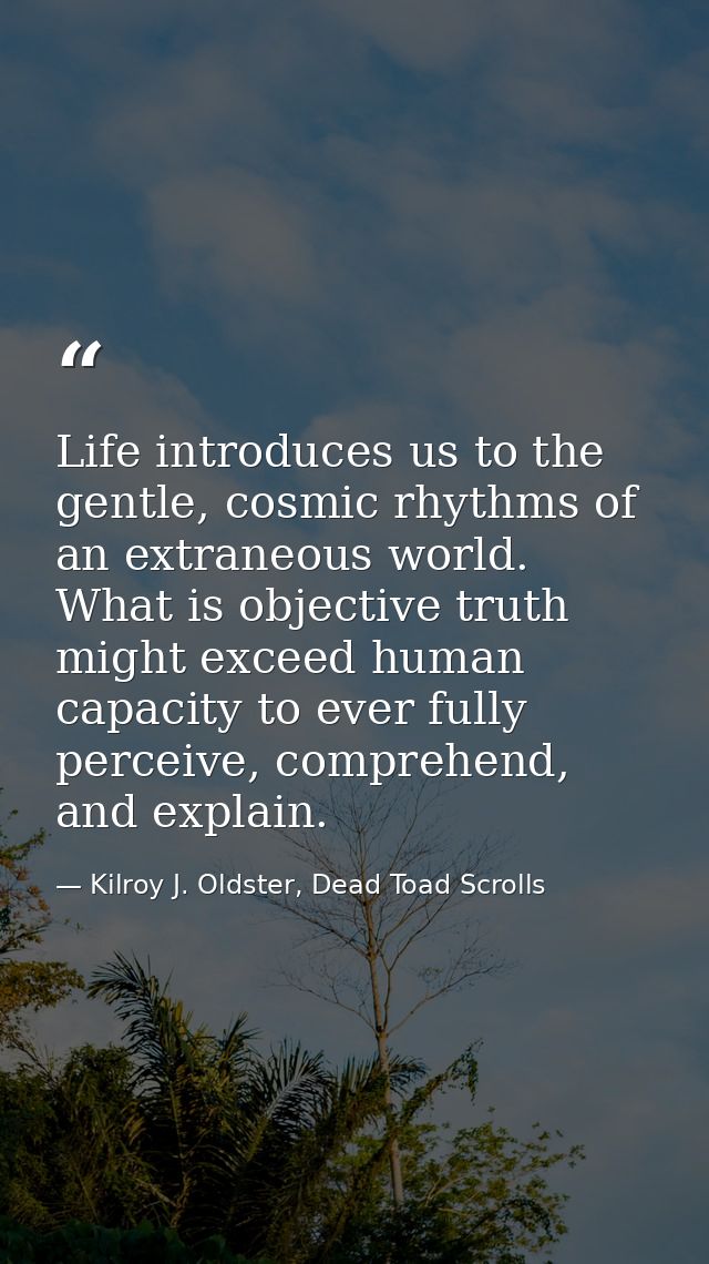 Life introduces us to the gentle, cosmic rhythms of an extraneous world. What is objective truth might exceed human capa — Kilroy J. Oldster, Dead Toad Scrolls