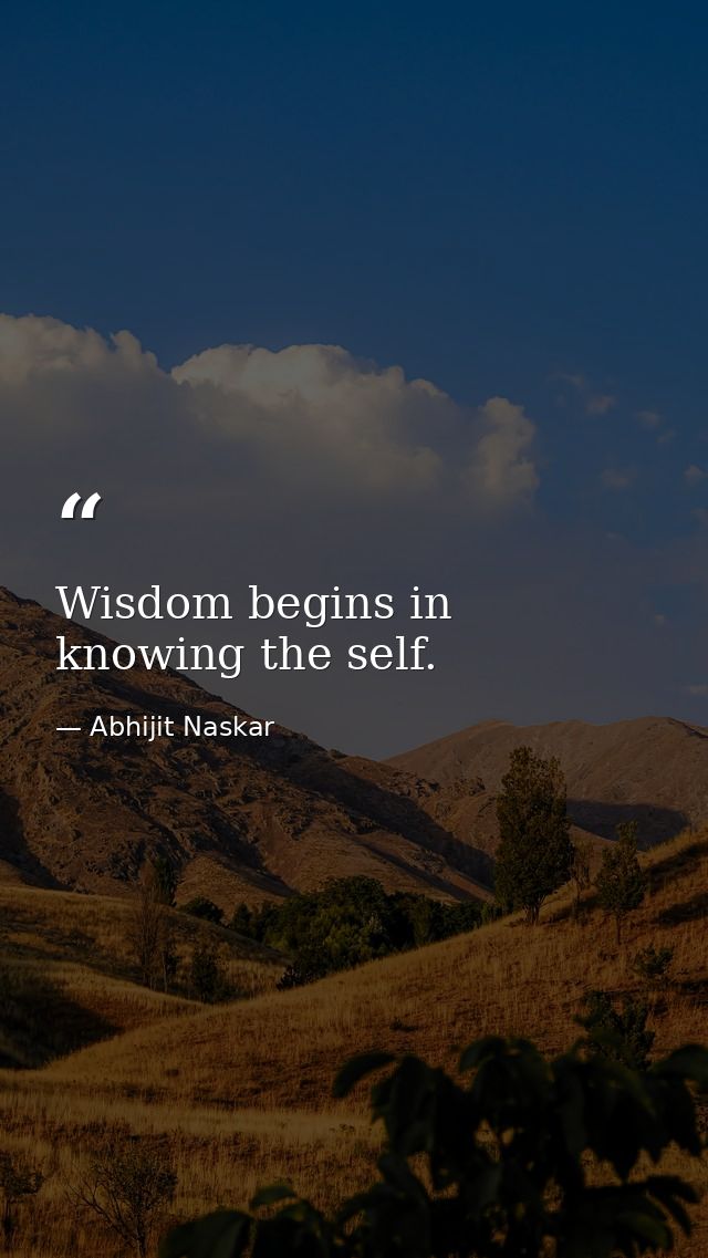 Wisdom begins in knowing the self. — Abhijit Naskar