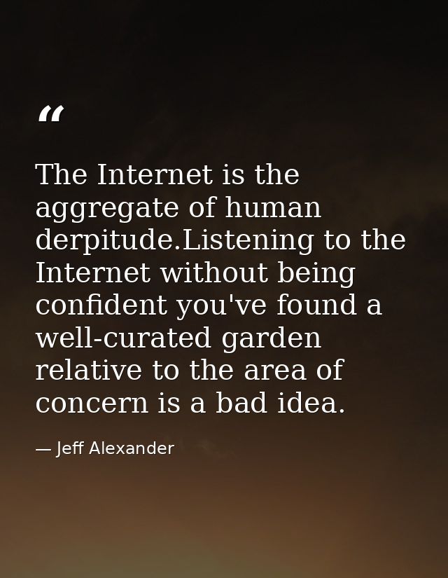 The Internet is the aggregate of human derpitude.Listening to the Internet without being confident you've found a well-c — Jeff Alexander