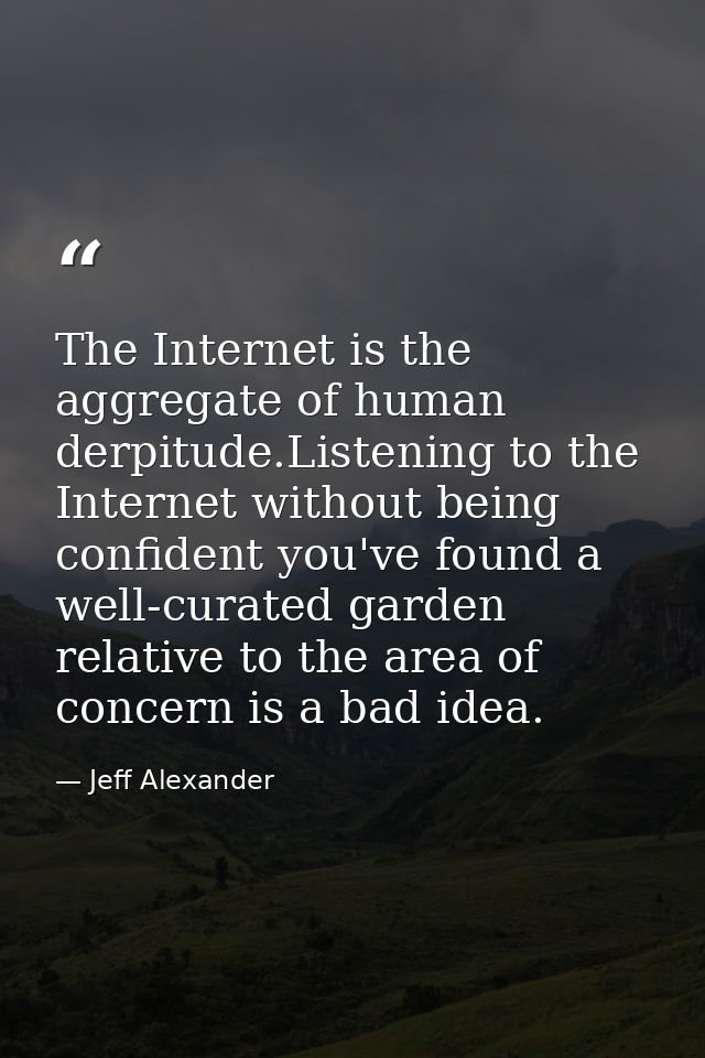 The Internet is the aggregate of human derpitude.Listening to the Internet without being confident you've found a well-c — Jeff Alexander