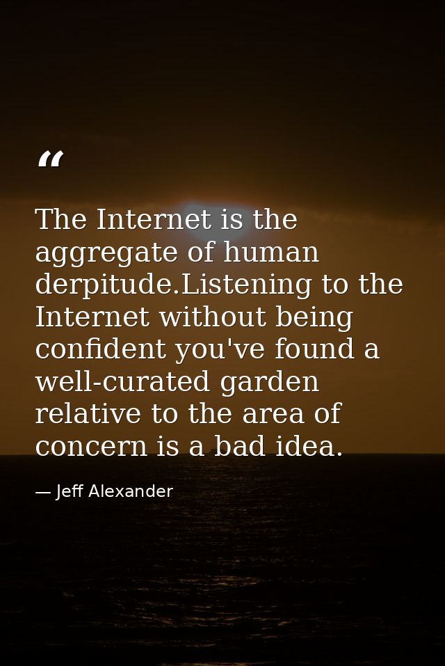 The Internet is the aggregate of human derpitude.Listening to the Internet without being confident you've found a well-c — Jeff Alexander