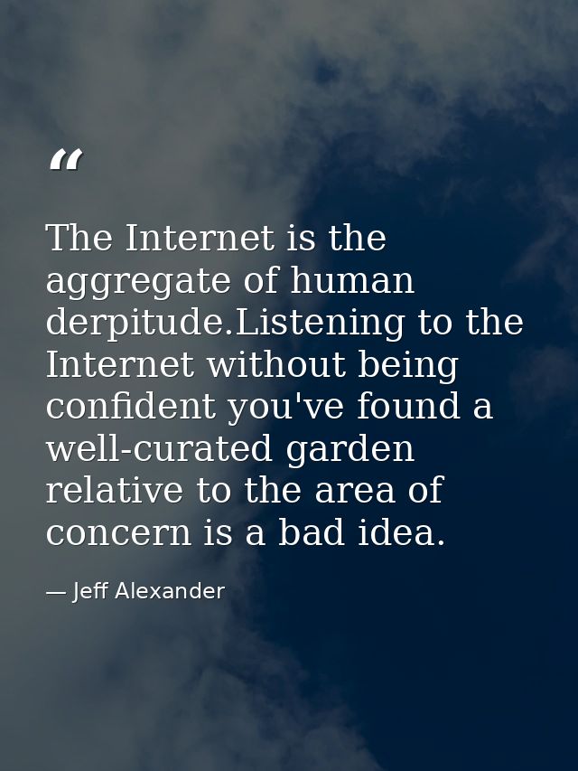 The Internet is the aggregate of human derpitude.Listening to the Internet without being confident you've found a well-c — Jeff Alexander
