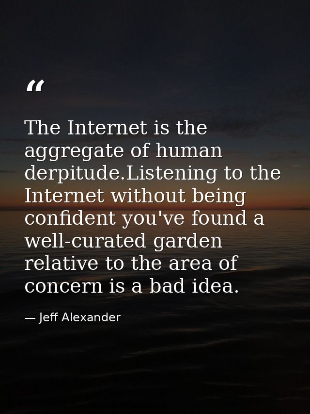 The Internet is the aggregate of human derpitude.Listening to the Internet without being confident you've found a well-c — Jeff Alexander