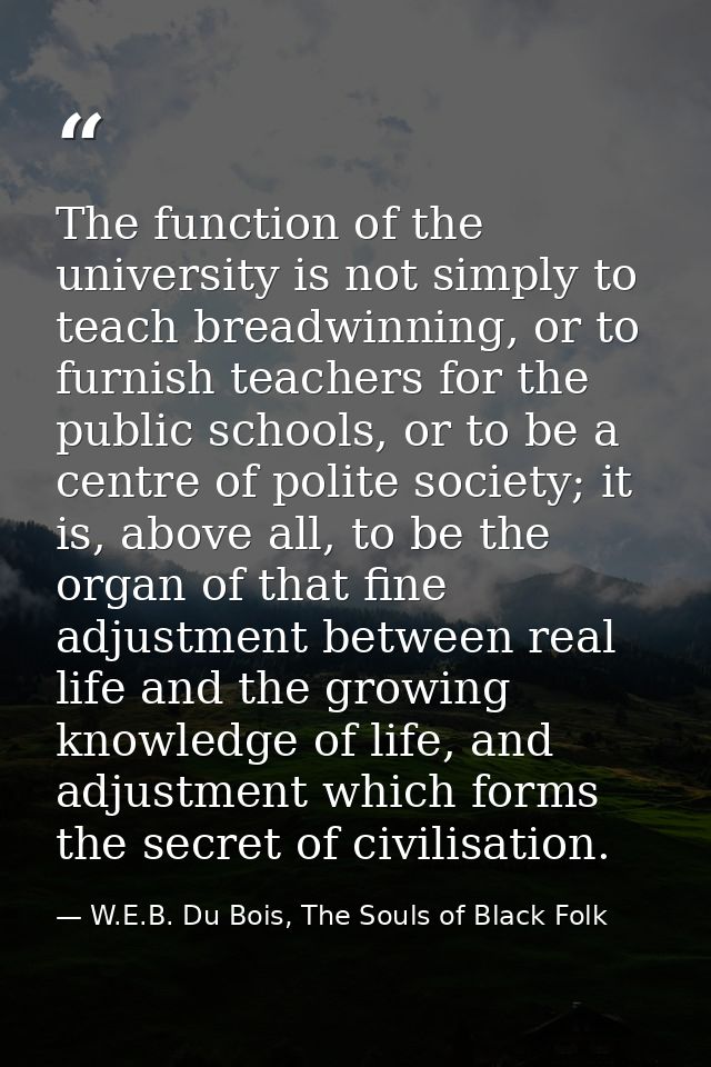 The function of the university is not simply to teach breadwinning, or to furnish teachers for the public schools, or to — W.E.B. Du Bois, The Souls of Black Folk