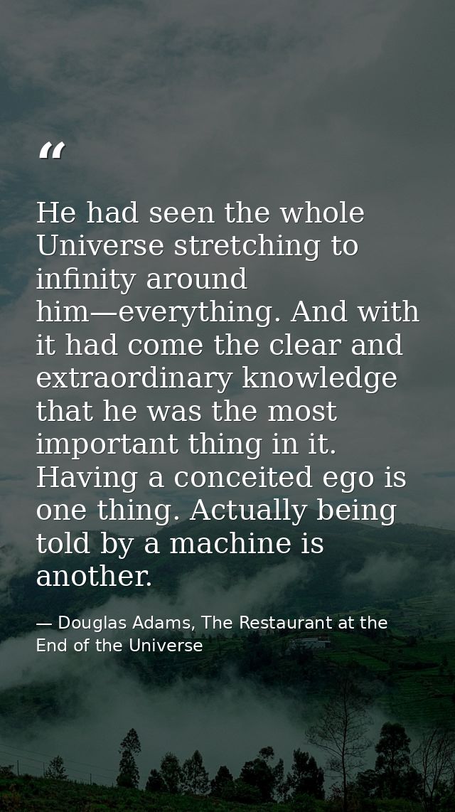 He had seen the whole Universe stretching to infinity around him—everything. And with it had come the clear and extraord — Douglas Adams, The Restaurant at the End of the Universe