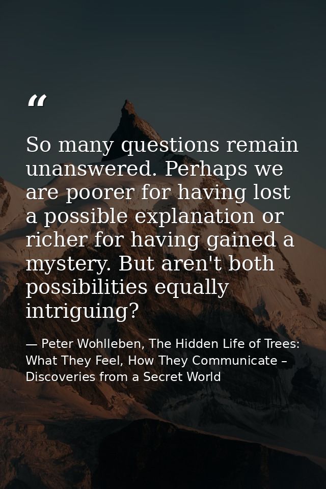 So many questions remain unanswered. Perhaps we are poorer for having lost a possible explanation or richer for having g — Peter Wohlleben, The Hidden Life of Trees: What They Feel, How They Communicate – Discoveries from a Secret World